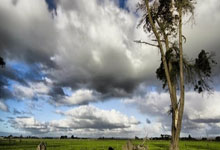 开云体育app-英国网球队完胜世界网球队,纳达尔制霸全场——体育盛事背后的激情与荣耀